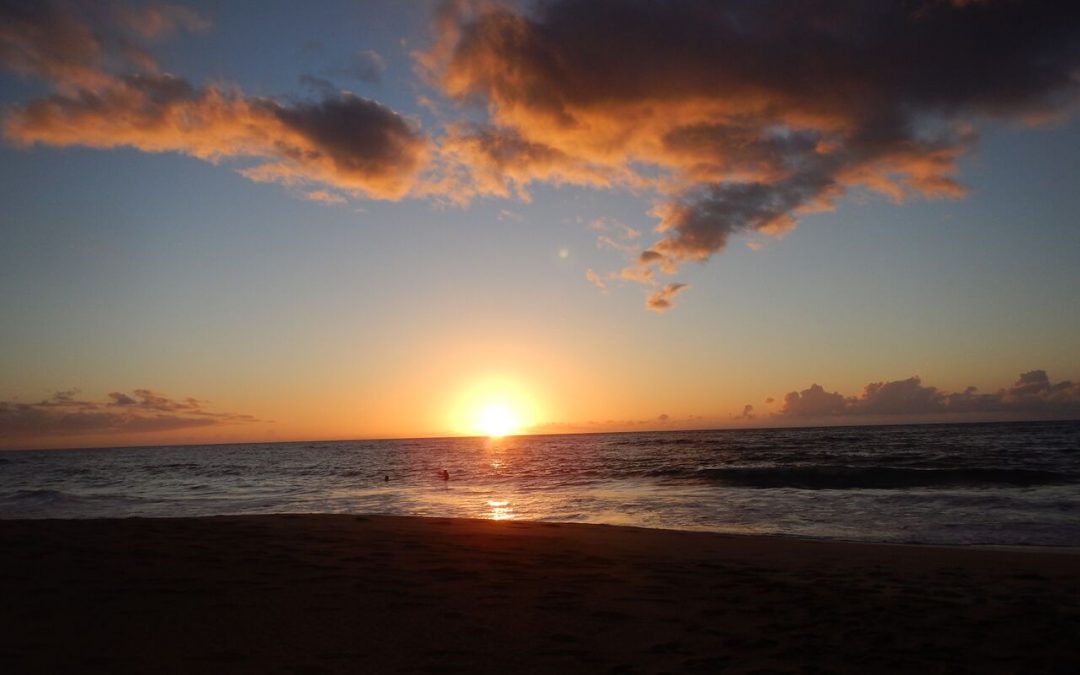 Teachings from the Ocean, Kauai June 2015